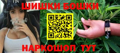 дживик Славгород