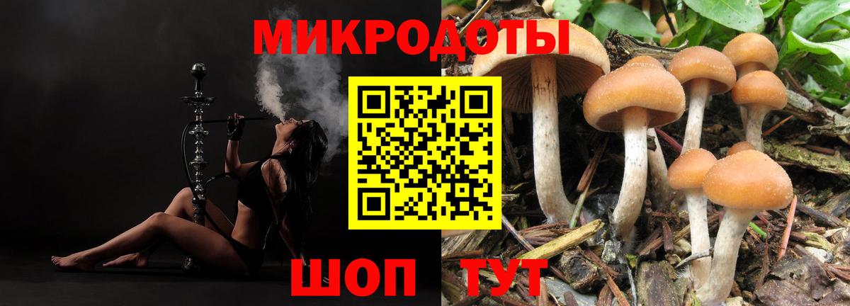 Галлюциногенные грибы мухоморы Назарово