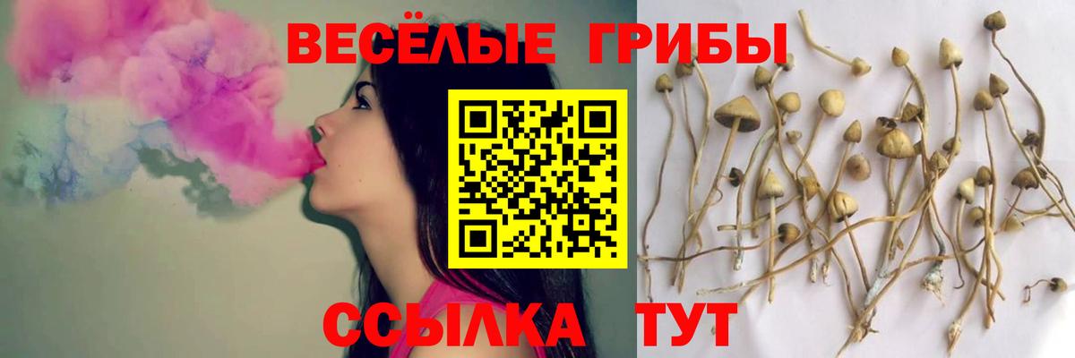 Псилоцибиновые грибы GOLDEN TEACHER  Псилоцибиновые грибы ЛСД  Вход с VPN  Назарово 